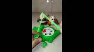 ASMR CATCHING FISHING