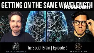 Getting on the Same Wavelength (The Social Brain Ep 3)