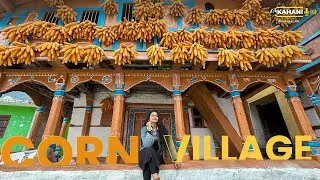 Corn Village of India| Uttarakhand Sainji Village| Travel Vlog