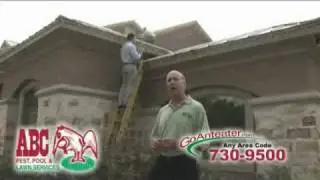 What's that scratching sound in my attic?