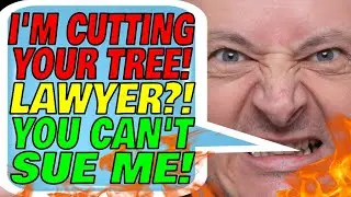 Neighbor Cut Down MY Tree, On MY PROPERTY! Lawyer Up?!