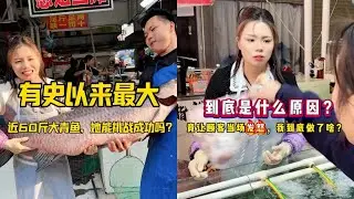 有史以来最大，近60斤大青鱼，她能挑战成功吗？｜到底是什么原因？竟让顾客当场发怒，我到底做了啥？