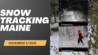 Snow Tracking a Big Woods Buck in Maine | Nov 17, 2025