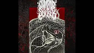 Ormond Sucker - Tsuchinoko