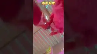 🤣😂🤣😂
