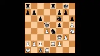 Rustam Kasimdzhanov(2690) vs Robert Ruck(2567) | Event: Schachbundesliga | 2013.04.06