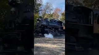 SMS Steam Locomotive #9