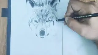 Drawing Wolf grafic pencil by(Time lapse Big Bad Wolf )🐺💚💚 (4K)