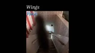 Wings - Eliviah | Voices (Audio)