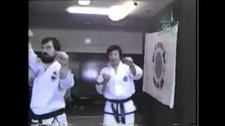 Park Jung Tae - Dan Gun Tul. ITF Taekwon-Do Seminar, Dublin 1987