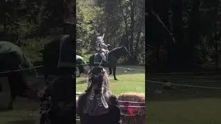 Despite the broken lance in his armor, the knight was not injured! #imaginedpast #knight #lance
