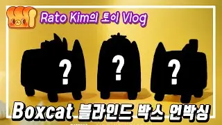 박스캣 블라인드박스 언박싱(Boxcat Blindbox Unboxing)
