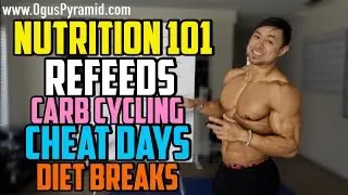 Nutrition 101: Refeeds, Carb Cycling, Cheat Days, Diet Breaks