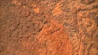 Burrup Rock Art Dampier Peninsula Western Australia