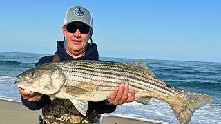 Fall Surf Striped Bass