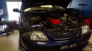 Cammed AU Falcon dyno run