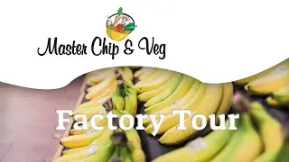 Master Chip & Veg Factory Tour