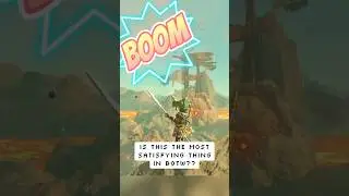 The Most SATISFYING Thing in BoTW?? #nintendo