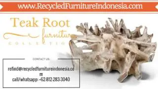 Teak Root Furniture Suppliers | RecycledFurnitureIndonesia.com