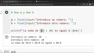 Impresi&oacute;n de Datos en Python | Colab