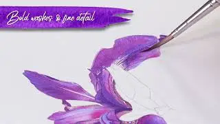 Iris Siberica &mdash; Превью с Билли Шоуэллом ⎮Акварельная красота