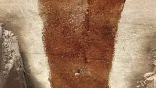 basement waterproofing madison wi