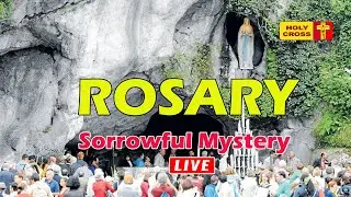 🔴 LIVE -27-01-2026 @ Holy Rosary from Lourdes Grotto | Sorrowful Mystery | Holy Cross Tv