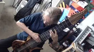 Randy Strom - Warr Guitar - Lady bird