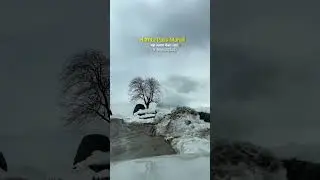 Today Hamta Pass #manali #snow #snowfall