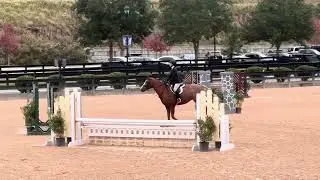 Penny- Tryon October- Large Regular
