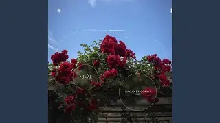 Nival (Original Mix)