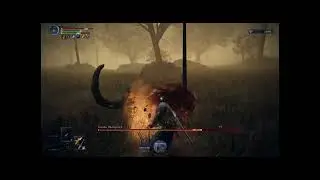 Nightreign Solo | Wylder - Equilibrious Beast (Enhanced)