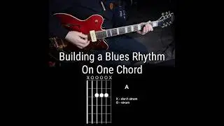 Blues Rhythm Guitar: Developing One Chord