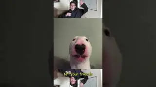 BenZaMons epic tiktok :0