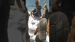 Hamas stealing an aid lorry full of flour #gaza #israel #hamas