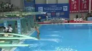 2006 world cup chong he 405b 1m