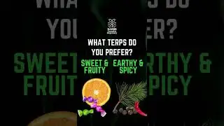 Terpene Preferences