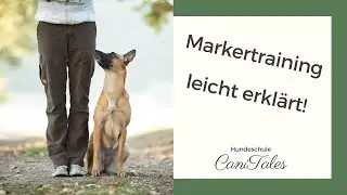 Wie funktioniert Markertraining?