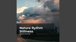 Symphonious Wildlife
