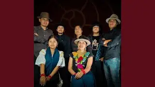 Flor de Azucena