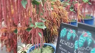 Washington DC Garden's 2025