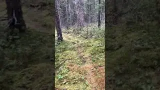 Therapy walk in the bush on the edge of town.