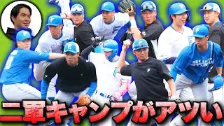 ファイターズ春季キャンプ2日目｜vol.382