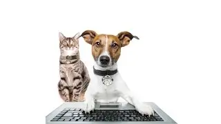 Register your pet FUR-EVER!