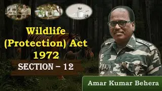 Wildlife (Protection) Act, 1972 | PART 4 | Section 12 : Special Hunting Permit Rules