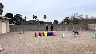 Monica Bush Spicy Agility 