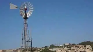 Malta on a windy day