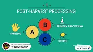 Herbal Raw Material Processing