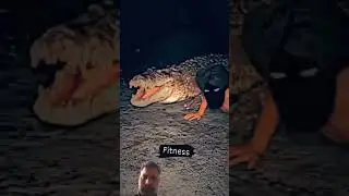 #animals #crocodile #snake #motivation #bodybuilding #silenthero