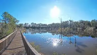 8K 360&deg; Video Restoration Park West Monroe, LA 01/01/2024 #insta360x4 #360video #8k #8kvideo